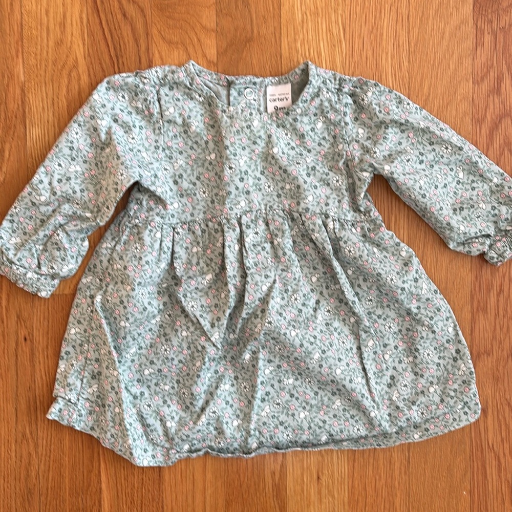 9M Carter’s Pastel Green and Pink Dress